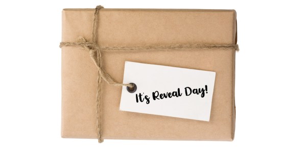 Reveal & Preorder! RESCUE, The Brazen Bulls Birthright #2